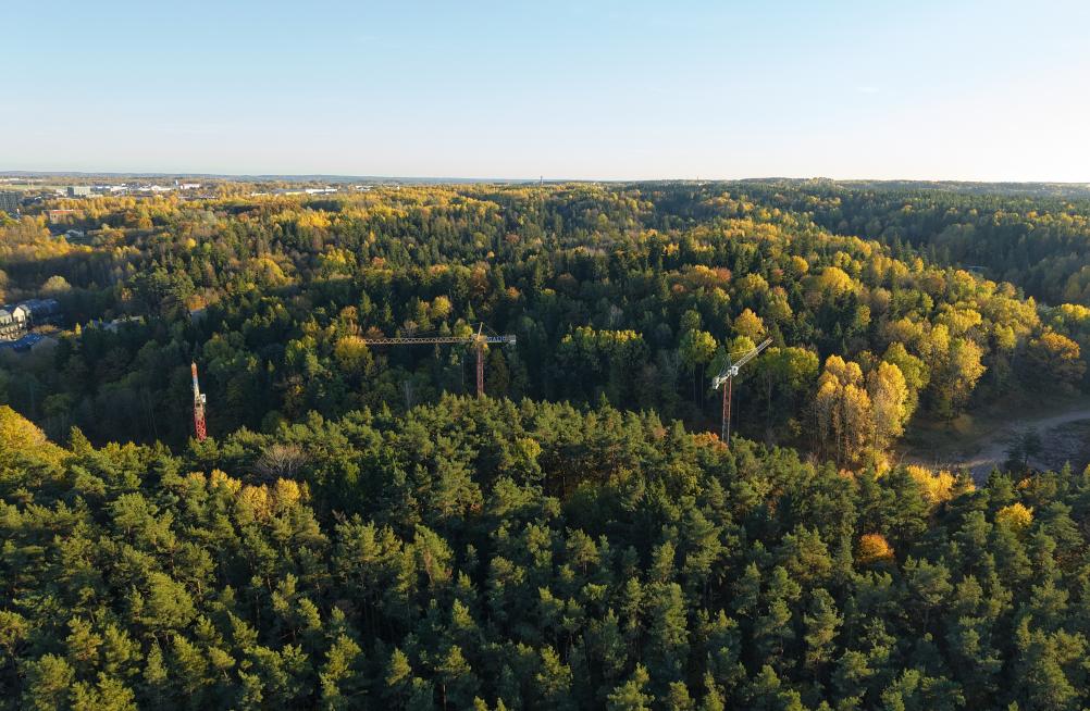 Burbiškės galėjo tapti pirmuoju dideliu sostinės kvartalu 